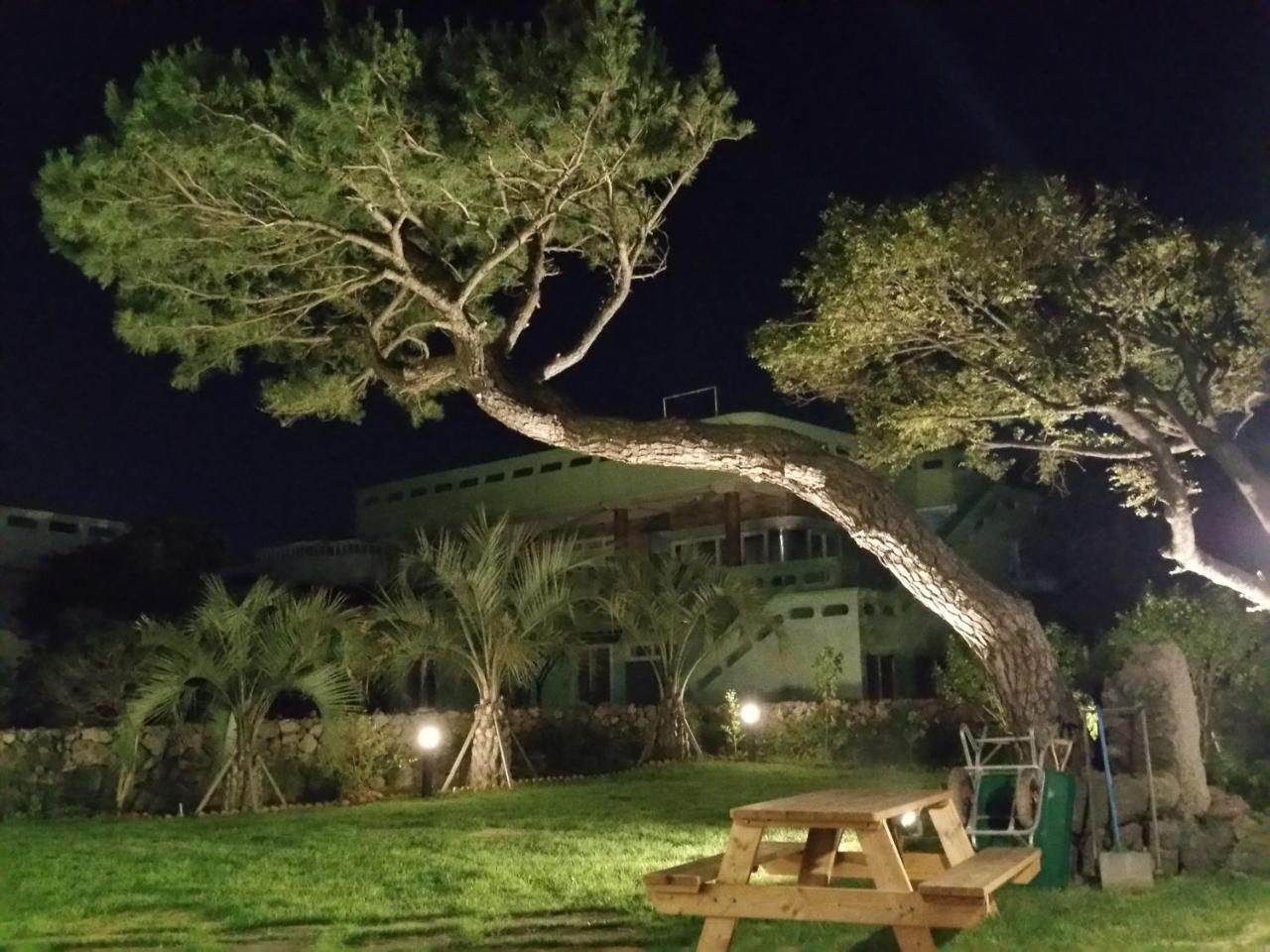 Tov Pension Seogwipo Esterno foto